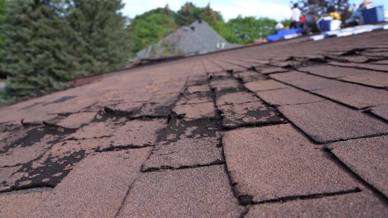Fast & Reliable Emergency Roof Repairs in Crystal Falls, MI